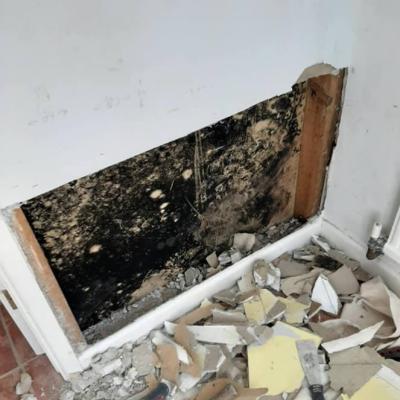 Painting & Decorating Repair Work
