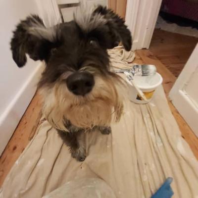 Interior Painting